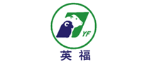 英福怎么樣