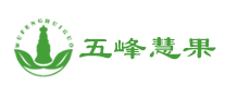 五峰慧果怎么樣